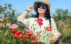 国产不卡一卡2卡三卡4卡5卡